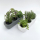 (Grey) Recycled plastic Pbox Kit: the triple semi-hydroponic urban garden