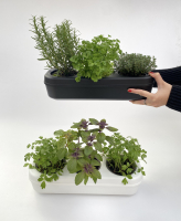 (Black) Recycled plastic Pbox Kit: the triple semi-hydroponic urban garden