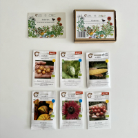 Kids Box: 6 Organic Seed Varieties